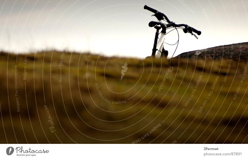 übernBerg Irrfahrt Fahrrad Mountainbike Wiese Weichzeichner dunkel kalt feucht Ferien & Urlaub & Reisen Fahrradtour Hälfte nass Nebel Nieselregen Bergwiese Gras