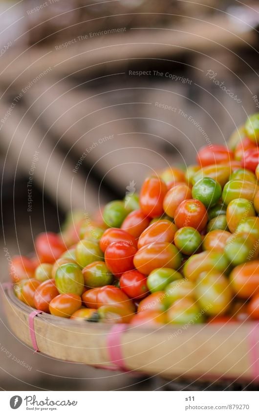 bunte Tomaten Lebensmittel Gemüse Ernährung Bioprodukte Vegetarische Ernährung glänzend leuchten exotisch frisch Gesundheit gut klein natürlich rund saftig