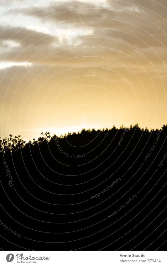 Sonnenuntergang hinterm Wald Ferien & Urlaub & Reisen Sommer Natur Landschaft Himmel Wolken Gewitterwolken Sonnenaufgang Sonnenlicht Klima Hügel ästhetisch