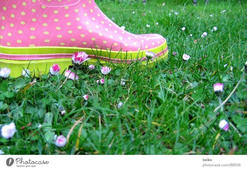 Rosa's gumboots II rosa Gummistiefel Schuhe Stiefel Gras Blume Gänseblümchen gelb grün Muster getupft Frühling springen saftig Bekleidung wellies rubber boots