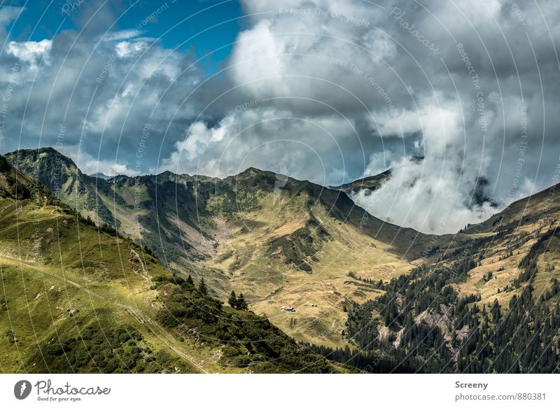 Starzeljoch / Alpe Ferien & Urlaub & Reisen Tourismus Ausflug Ferne Freiheit Berge u. Gebirge wandern Natur Landschaft Pflanze Himmel Wolken Sommer Wetter