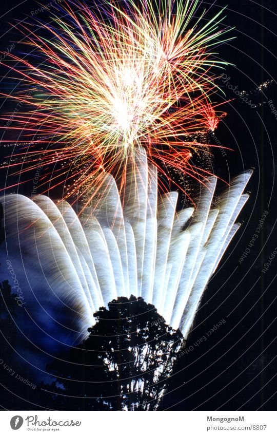 Feuerwerk am Strand - Foto von ein lizenzfreies Photocase Stock