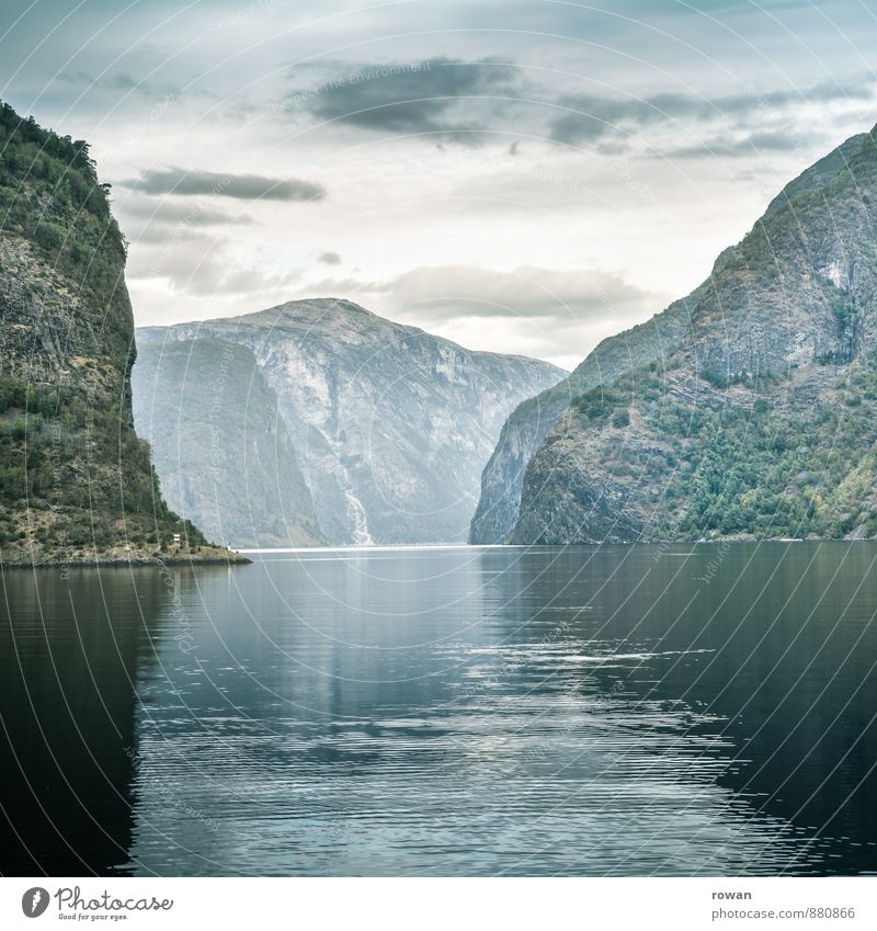 fjord Umwelt Natur Landschaft Hügel Felsen Berge u. Gebirge Bucht Fjord grün Norwegen Farbfoto Außenaufnahme Menschenleer Textfreiraum unten Tag