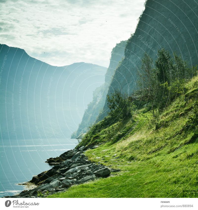 fjord Schönes Wetter Wald Berge u. Gebirge Küste Bucht Fjord Meer Erholung Norwegen Norwegenurlaub grün Natur Landschaft schön Idylle ruhig dramatisch Farbfoto