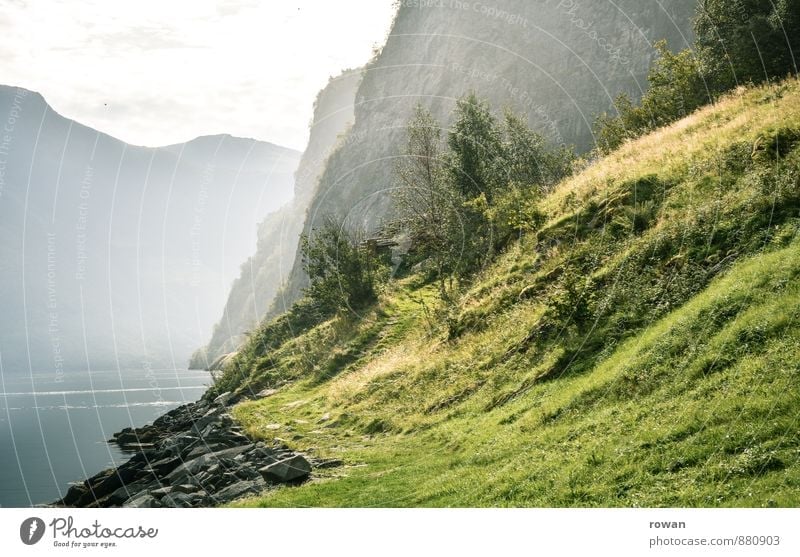 fjord Schönes Wetter Sträucher Felsen Berge u. Gebirge Küste Seeufer Bucht Fjord grün Norwegen Norwegenurlaub Erholung Natur Dunst wandern Wiese Farbfoto