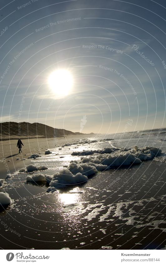 Ein Wintertag Sylt Strand Meer Erde Sand Mensch empty Sonne sun sunshine sea