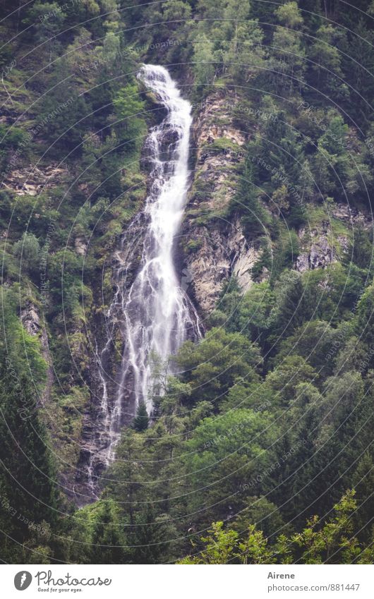 im freien Fall Natur Landschaft Urelemente Wasser Wald Felsen Alpen Berge u. Gebirge Hohen Tauern NP Schlucht Wasserfall Steilwand Bergwald bedrohlich