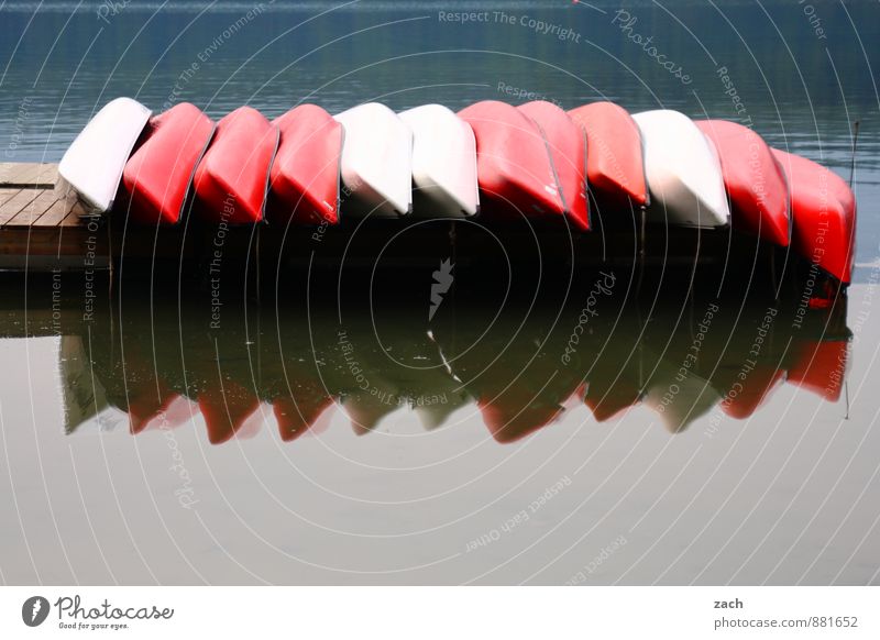 Gruppenfeeling | Feierabend Wasser See Wasserfahrzeug viele Kanu Kanadier Paddeln Kajak Im Wasser treiben Außenaufnahme Menschenleer Textfreiraum unten Tag