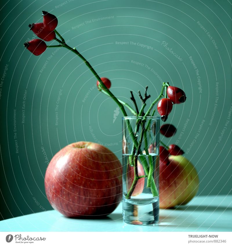 Peace | mal still sein... Natur Pflanze Wasser Herbst Nutzpflanze Hagebutten Frucht Apfel Apfelernte Apfel der Erkenntnis Dekoration & Verzierung Glas