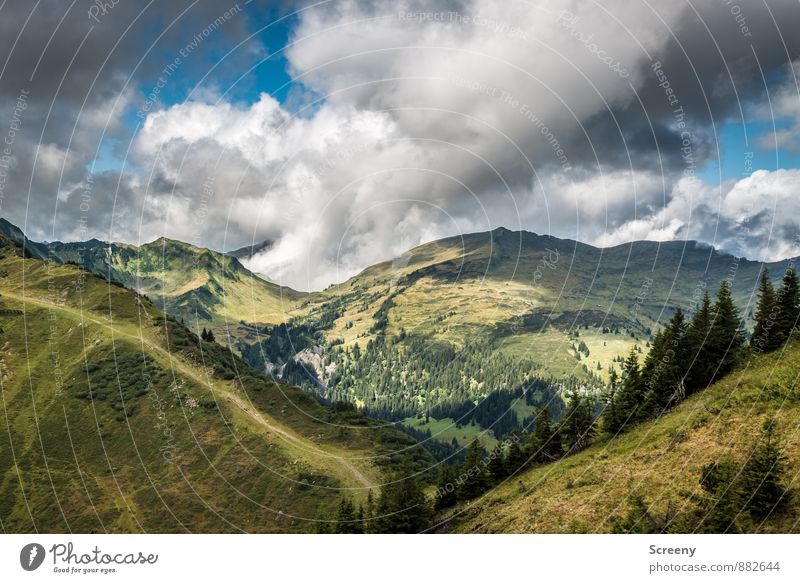 Rauf und runter / Im Tal Ferien & Urlaub & Reisen Tourismus Ausflug Abenteuer Ferne Freiheit Natur Landschaft Himmel Wolken Sommer Wetter Felsen Alpen