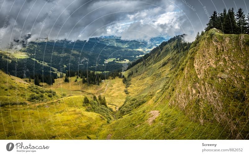Schlappolt / Alm Ferien & Urlaub & Reisen Tourismus Ausflug Abenteuer Ferne Freiheit Natur Landschaft Himmel Wolken Sommer Wetter Baum Gras Wald Felsen Alpen