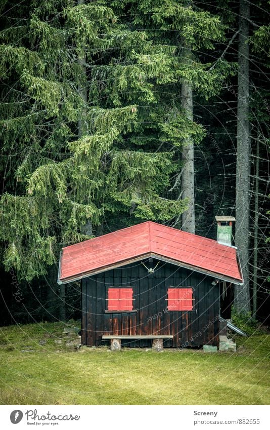 Hüttengaudi beendet Ferien & Urlaub & Reisen Tourismus Ausflug Natur Landschaft Sommer Baum Wald Alpen Berge u. Gebirge Allgäuer Alpen Gebäude Fenster Dach