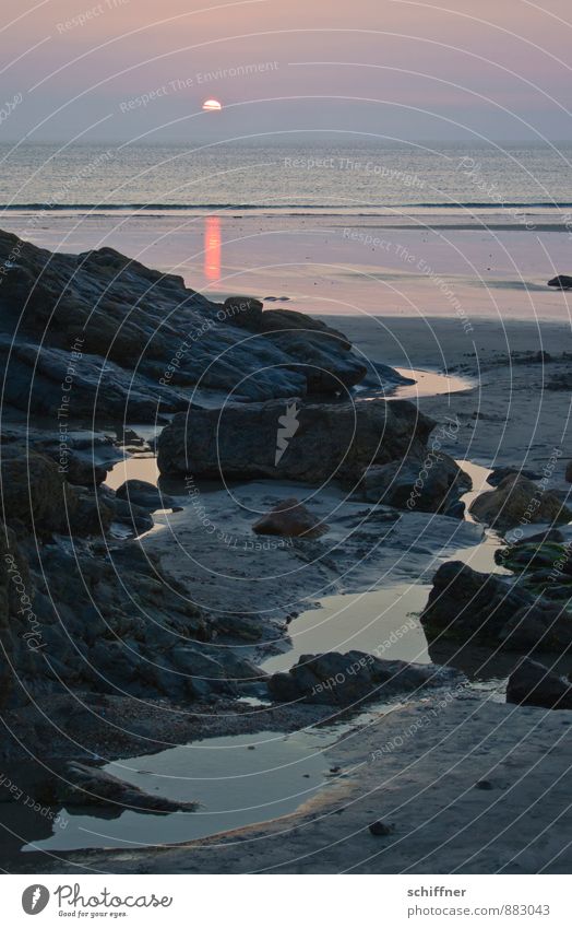 Sie kommt wieder, bestimmt! Umwelt Natur Landschaft Felsen Wellen Küste Strand Bucht Riff Meer violett ruhig Trauer Traurigkeit Ebbe Wassermassen Gezeiten