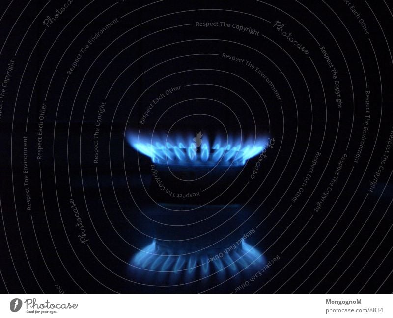 Gasflamme II Herd & Backofen Physik Elektrisches Gerät Technik & Technologie Flamme blaue Flamme Wärme Makroaufnahme