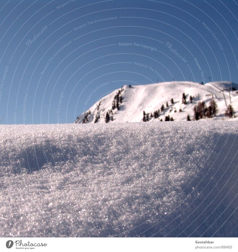 weißer Glitzer Winter Skier kalt transpirieren Skipiste rot schwarz Schweiz Schneeflocke glänzend fein Berge u. Gebirge Makroaufnahme Nahaufnahme Fahrstuhl