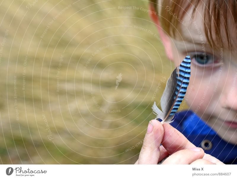 Fundstück Freizeit & Hobby Spielen Ausflug Mensch Kind Kleinkind Kindheit Gesicht Finger 1 1-3 Jahre 3-8 Jahre Tier Wald Vogel Neugier blau Interesse
