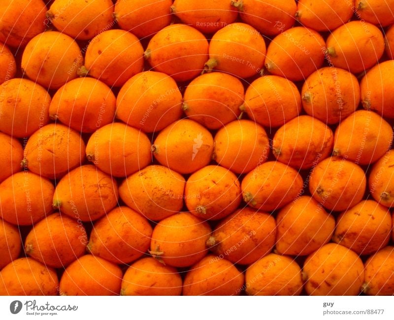 Orangenlandschaft Ernährung Frucht Vegetarische Ernährung Lebensmittel Obst- oder Gemüsestand Ordnungsliebe Reihe Vitamin Gesundheit
