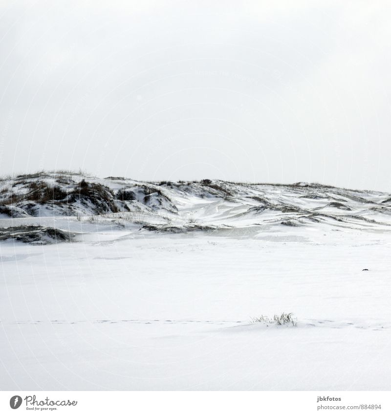 Peace / Weiß... Urelemente Himmel Winter Klima Klimawandel Wetter Schönes Wetter Eis Frost Schnee Gras Nordsee Ostsee entdecken frei frisch Gesundheit kalt