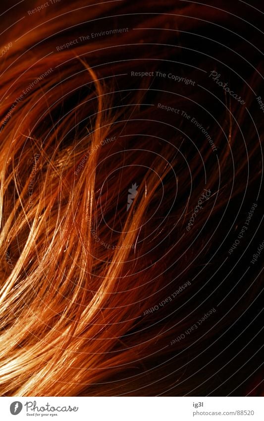der HAARte kern #2 Haarsträhne dünn schmal lang Muster Kopfbedeckung Fell Physik schön Haarwaschmittel Sauberkeit Reinigen groß Lichtpunkt glänzend rot gelb