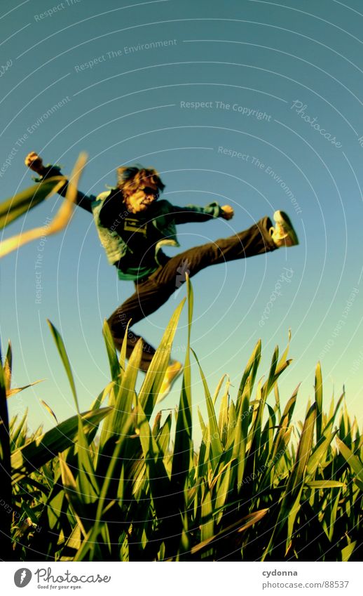 Spring ins Feld! IV hüpfen Frühling Wiese Gras grün Stil Sonnenuntergang Körperhaltung Halm Froschperspektive Sonnenstrahlen Kick Kampfsport Mann Kerl grätschen