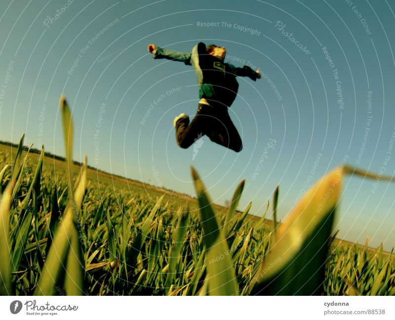 Spring ins Feld! V hüpfen Frühling Wiese Gras grün Stil Sonnenuntergang Körperhaltung Halm Froschperspektive Sonnenstrahlen Kick Kampfsport Mann Kerl grätschen