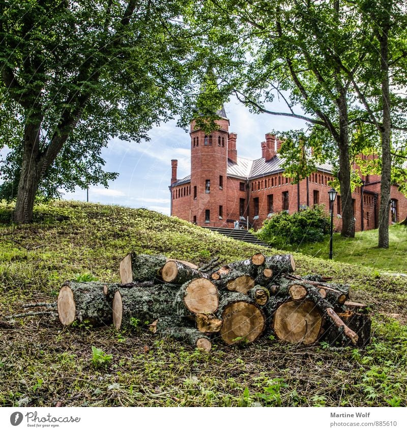 Sangaste loss Estland Europa Burg oder Schloss Sehenswürdigkeit Stadt Abholzung Urbanisierung Baumstamm Baumsterben Farbfoto Außenaufnahme Menschenleer Tag