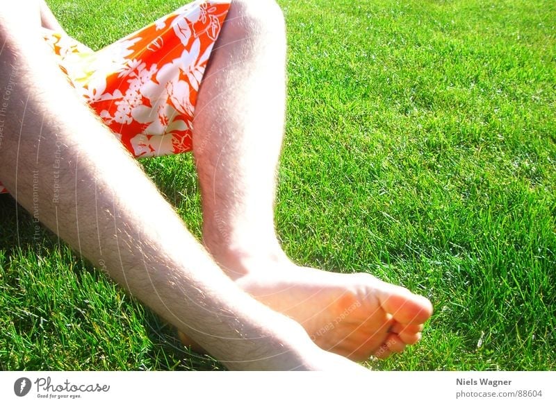 chillin in da sun Gras Licht Hose grün Wiese Physik Frühling Zehen schlafen Sonne Beine Haut orange Wärme Fuß Haare & Frisuren Müdigkeit Barfuß