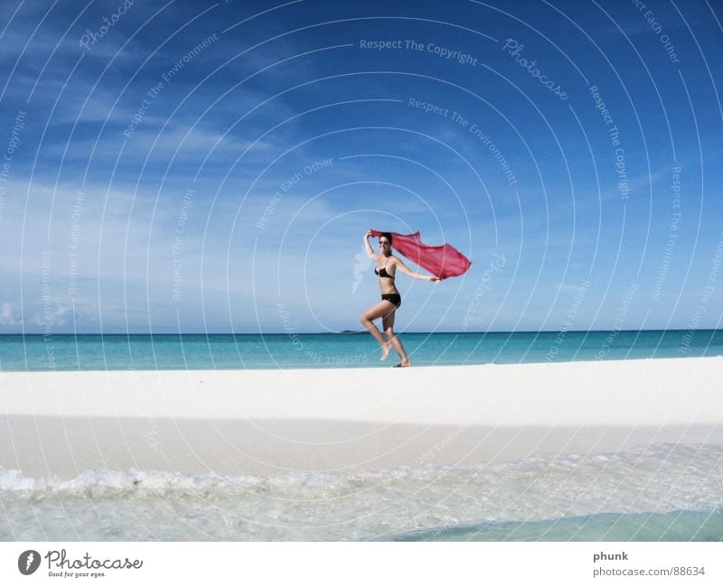strandlauf#2 Strand Meer Ferien & Urlaub & Reisen Frau springen hüpfen Bikini Malediven Indien schön Freude Sonne laufen Wasser Wetter Klarheit hell Romantik