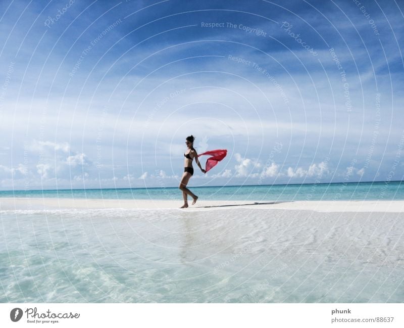 strandlauf#5 Strand Meer Ferien & Urlaub & Reisen Frau springen hüpfen Bikini Malediven Indien schön Schifffahrt Spielen Sonne laufen Freude Wasser Wetter