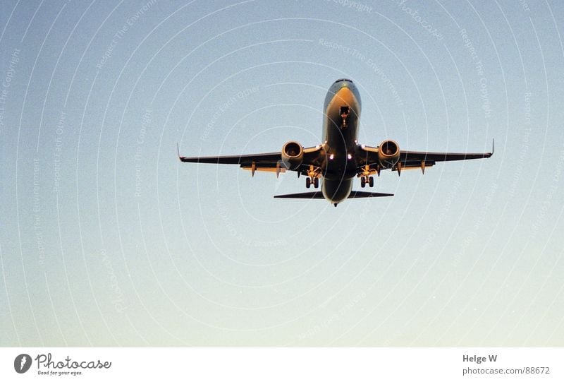 Long way home wiederkommen Ferien & Urlaub & Reisen Unendlichkeit Flugzeug Triebwerke Maschine Luftverkehr Himmel Überflieger überfliegen blau Freiheit Airbus