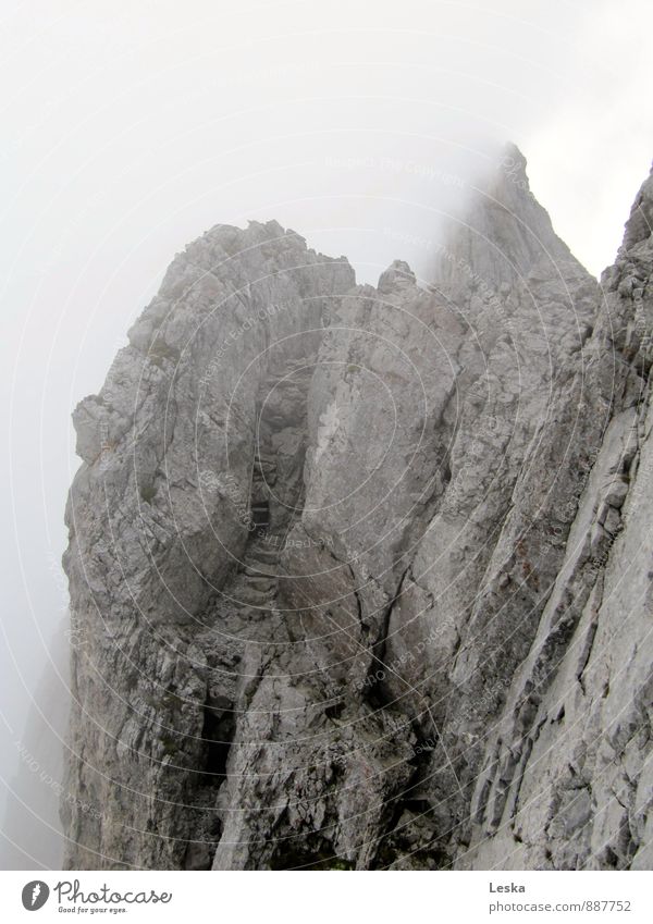 In den Nebel steigen Urelemente Himmel Alpen Berge u. Gebirge gehen Blick wandern eckig grau Respekt Abenteuer anstrengen Surrealismus Zukunft Felsen