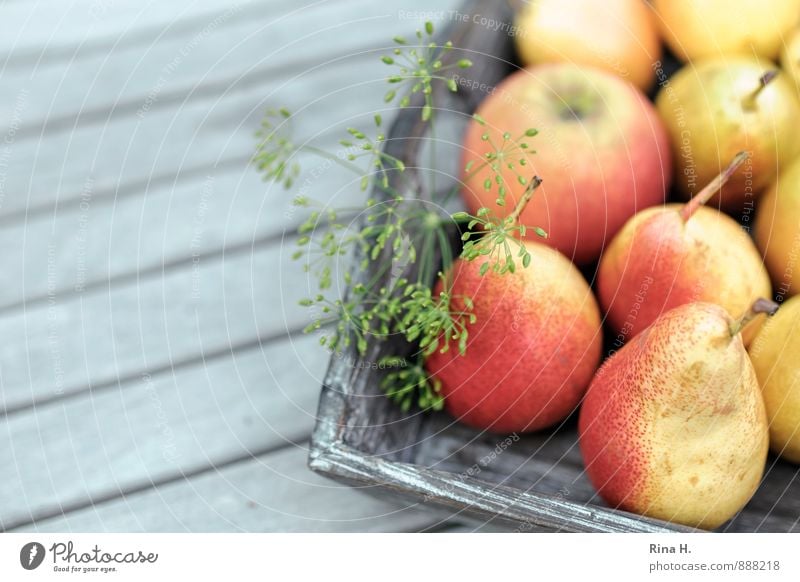 Reiche Ernte Frucht Bioprodukte Vegetarische Ernährung frisch Gesundheit lecker rot Lebensfreude Apfel Birne Dill Holztisch Vitamin Landleben Farbfoto