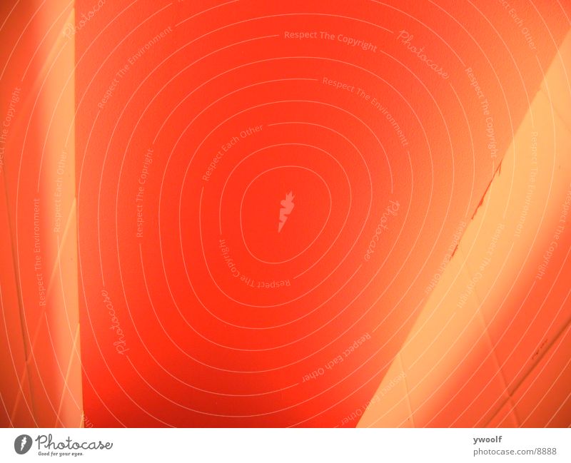 Orange Hintergrund I Hintergrundbild Langzeitbelichtung orange