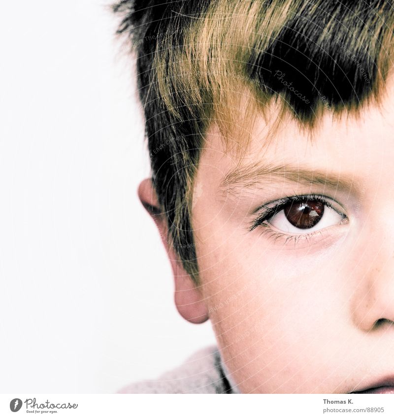 Halb sowieso Porträt Kind ruhig Haarschnitt Konzentration Auge Ohr Mensch Junge Nase