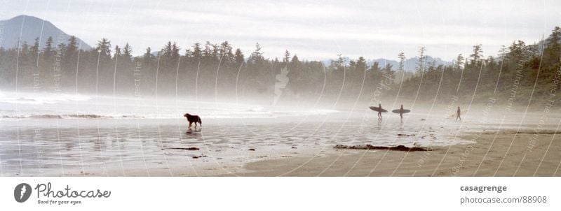 Tofino Springsurf Strand Hund Surfer Kanada Meer Long Beach Vancouver Island Wald Panorama (Aussicht) Dog Wasserdampf Nebel Sand groß Panorama (Bildformat)