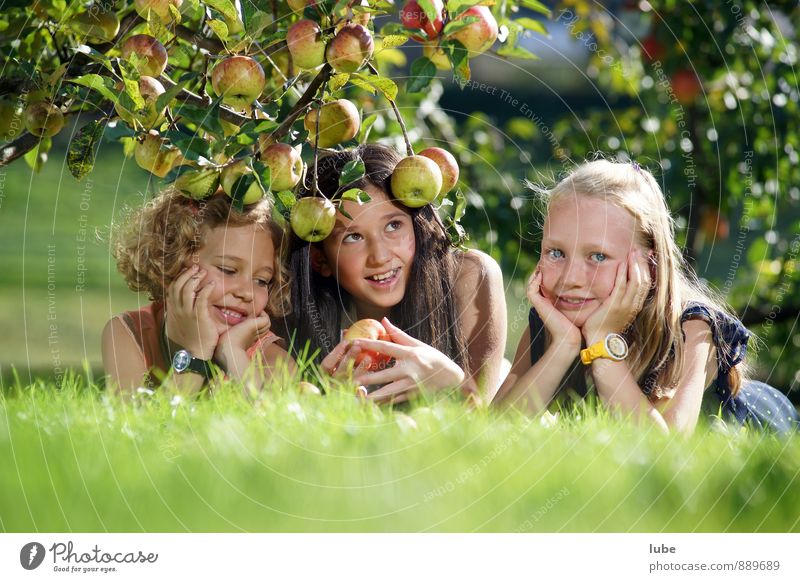Apfelgirls Lebensmittel Frucht Gesundheit Garten Mensch Mädchen Kindheit 3 8-13 Jahre Natur Landschaft Herbst Wiese natürlich Freude Fröhlichkeit Zufriedenheit