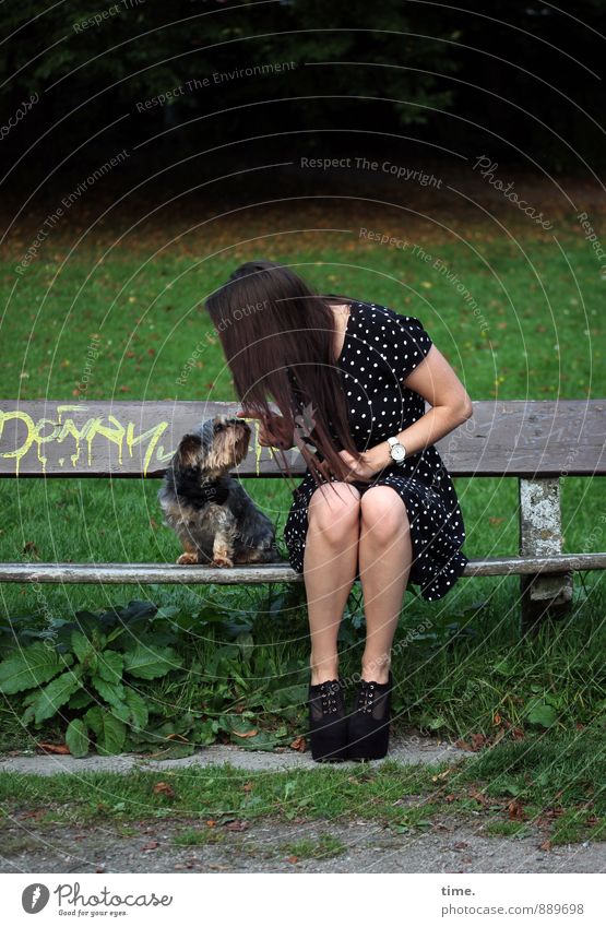 . feminin 1 Mensch 18-30 Jahre Jugendliche Erwachsene Park Wiese Parkbank Kleid brünett langhaarig Tier Haustier Hund Sympathie Freundschaft Zusammensein