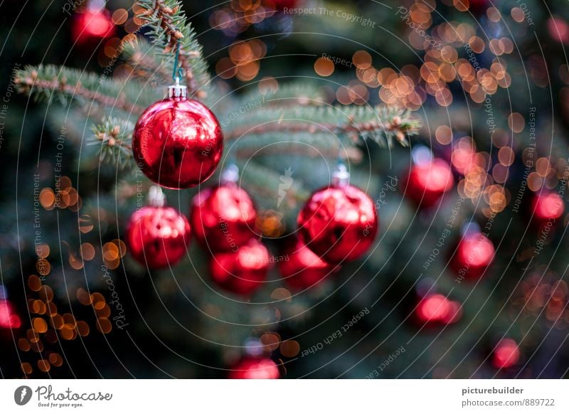 rote Christbaumkugeln Wohnung Feste & Feiern Weihnachten & Advent Baum Weihnachtsbaum Dekoration & Verzierung glänzend grün Stimmung Farbfoto Außenaufnahme