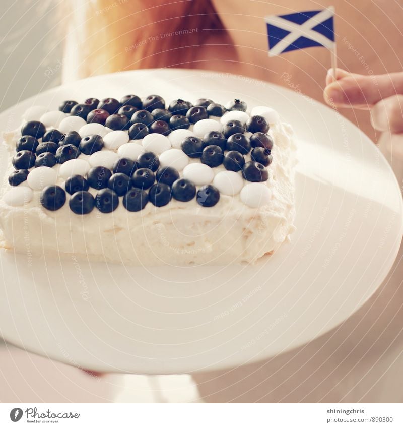 45% Frucht Teigwaren Backwaren Blaubeeren Torte feminin Finger 1 Mensch Zeichen Fahne blau weiß Willensstärke Schottland Mut Entschlossenheit Kreuz
