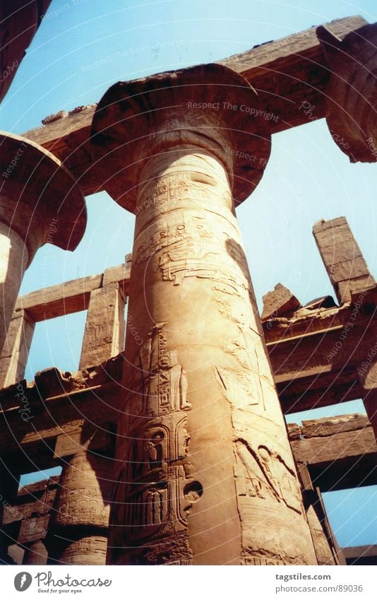 Rising high - Amun Ra, Luxor - Ägypten Säule Hieroglyphen Tempel Götter Verfall antik Pharaonen beige monumental Bauwerk Afrika Wahrzeichen Denkmal Kunst