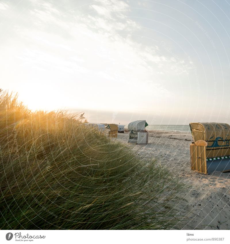 Spätsommertag Erholung ruhig Ferien & Urlaub & Reisen Tourismus Ausflug Freiheit Sommer Sommerurlaub Sonne Strand Meer Sand Himmel Schönes Wetter Gras