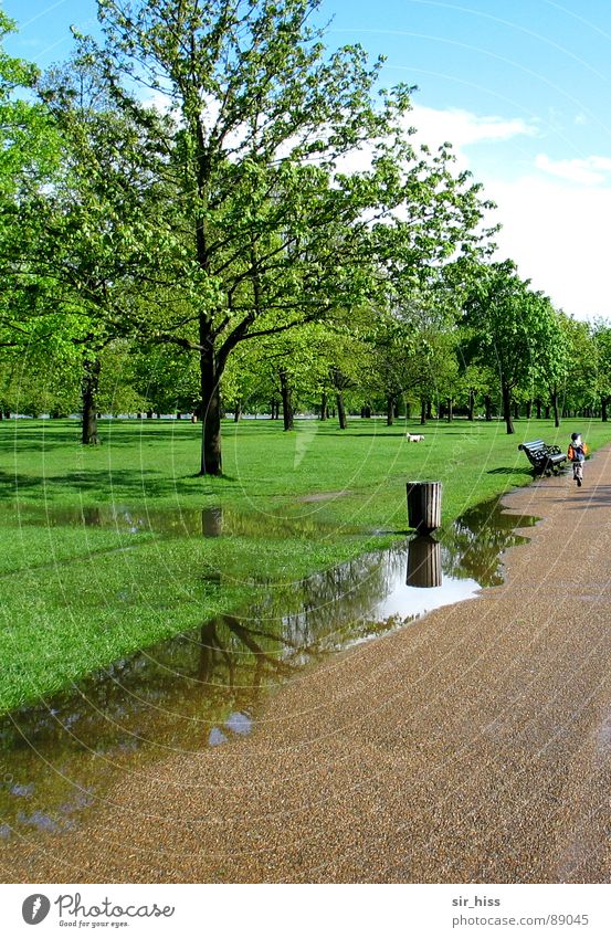 parking lane @ Hyde Park grün Pfütze Kind Parkbank Baum Wiese Hydepark England Spaziergang atmen Luft Ferien & Urlaub & Reisen Frühling Garten Wasser Erholung