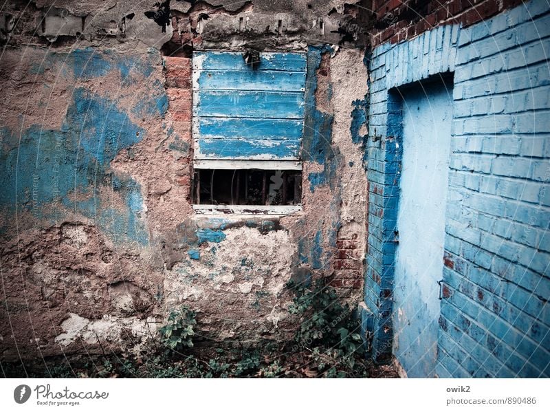Blauverliebt Mauer Wand Fassade Fenster alt frisch verrückt blau Reinheit bescheiden zurückhalten sparsam bizarr Kultur Kunst planen Präzision rein skurril
