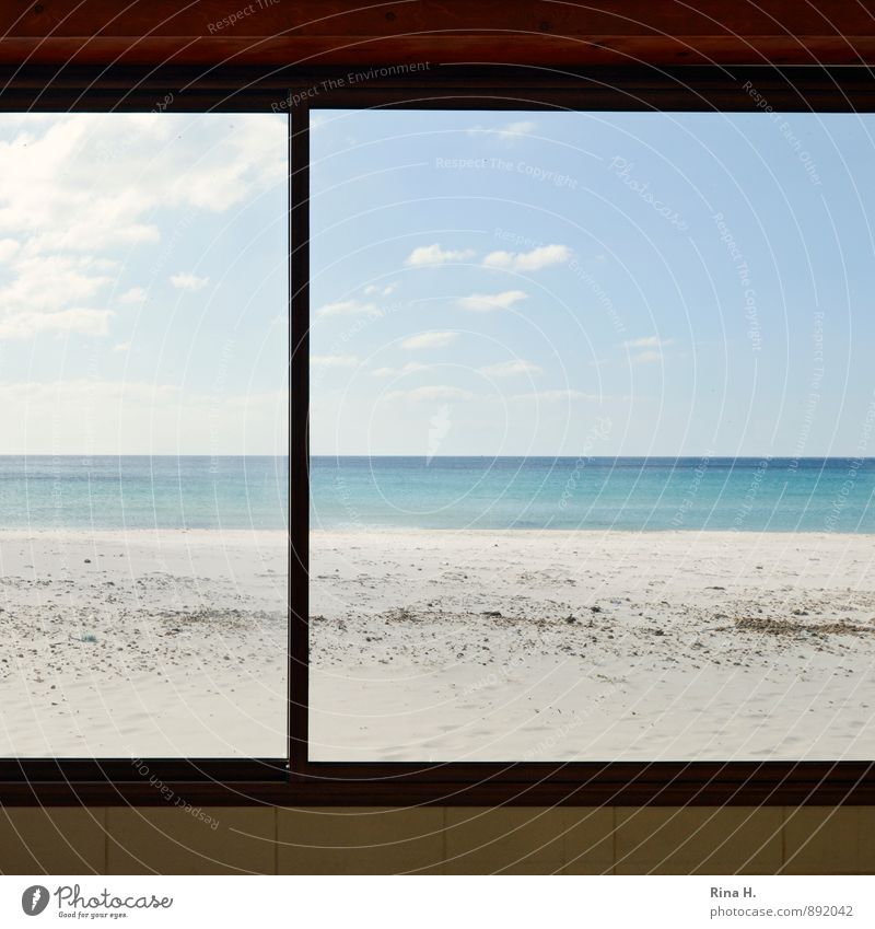 Fenster zum Meer Himmel Horizont Sommer Küste Strand Mauer Wand Einsamkeit ruhig Wirtschaftskrise Farbfoto Menschenleer Textfreiraum links Textfreiraum rechts