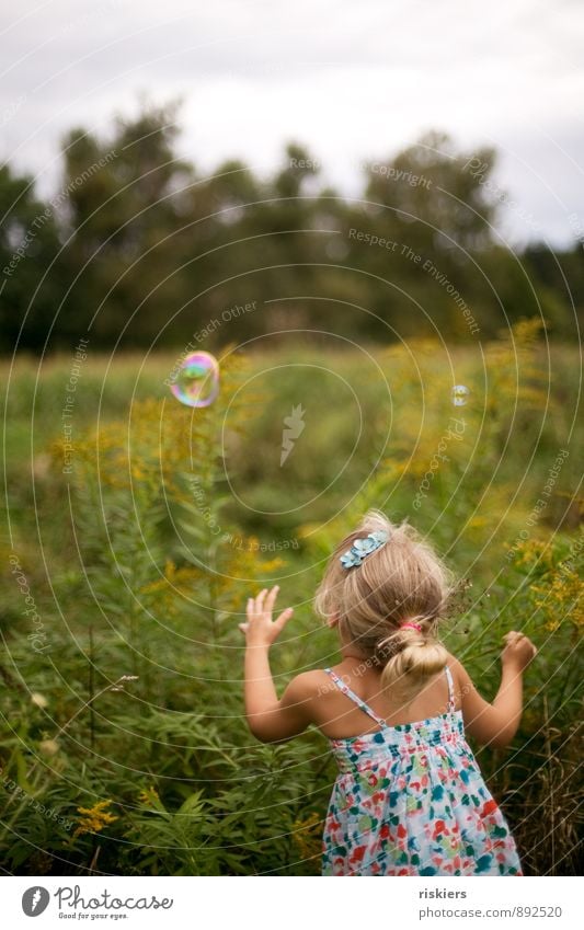 seifenblasenfangen Mensch feminin Kind Mädchen Kindheit 1 3-8 Jahre Umwelt Natur Sommer Schönes Wetter Garten Wiese entdecken Erholung Blick Spielen frei