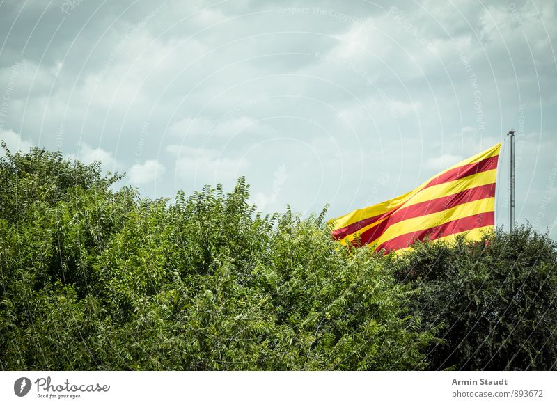 Viva España Natur Luft Himmel Wolken Wind Baum Sträucher Spanien Zeichen Fahne hängen authentisch gelb rot Ferien & Urlaub & Reisen verdeckt Nationalflagge