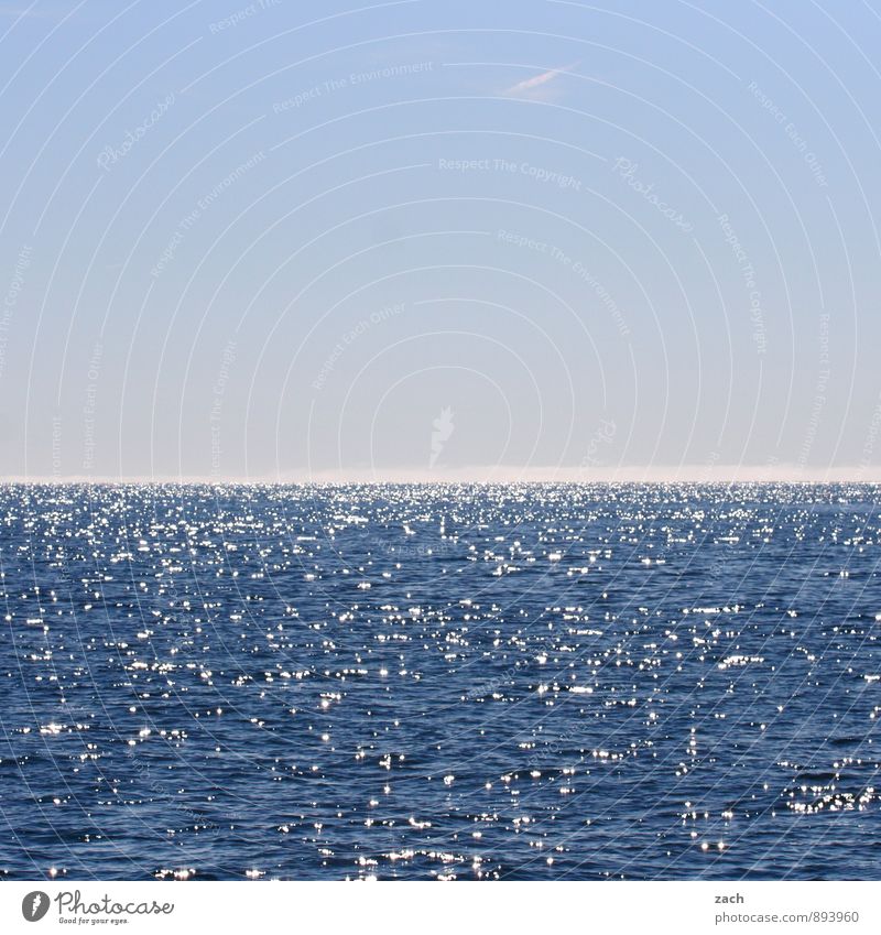 Geduld | noch 2 1/2 h bis Buffalo Wasser Wolkenloser Himmel Sonnenlicht Sommer Schönes Wetter Küste Meer Pazifik blau Horizont Ozean Ferne Wellen Farbfoto