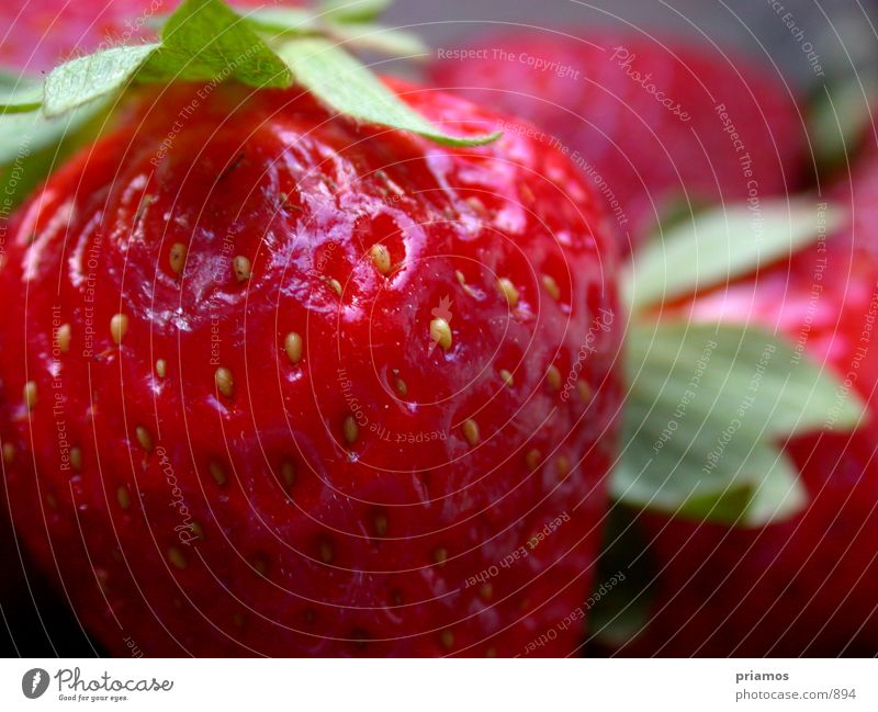 Erdbeerland süß Ernährung Makroaufnahme Erdbeeren Frucht