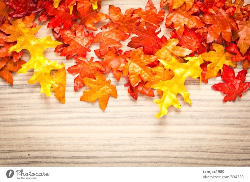 Laub auf Holzhintergrund harmonisch Meditation Dekoration & Verzierung Natur Pflanze Herbst Blatt braun Pause Herbstlaub Herbstabend Herbstfärbung herbstlich