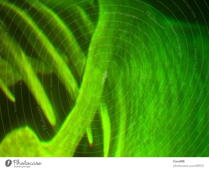 Hologramm grün Licht Fototechnik t-rex